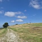 448946979_867010505464731_3179450690454754819_n